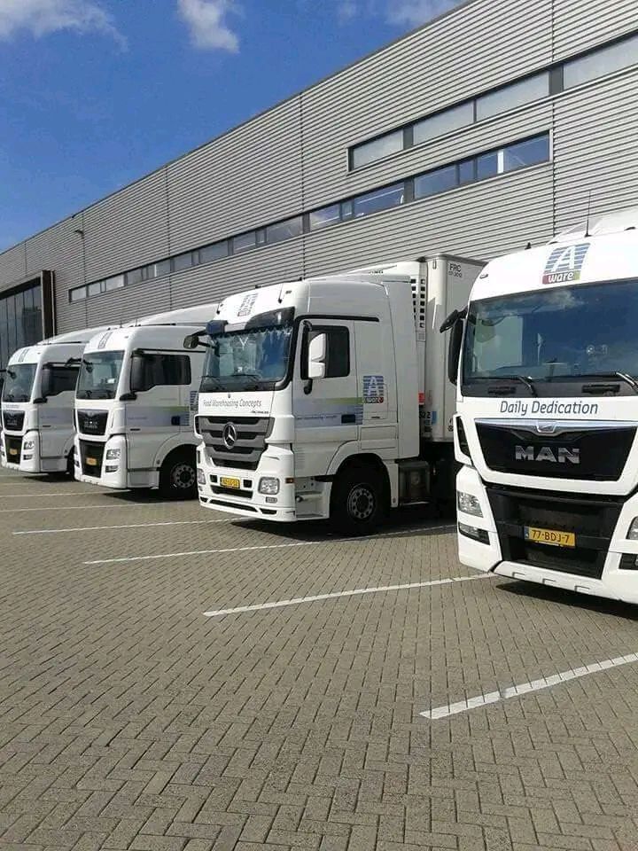 Professional fleet management